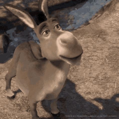 donkey from shrek gif